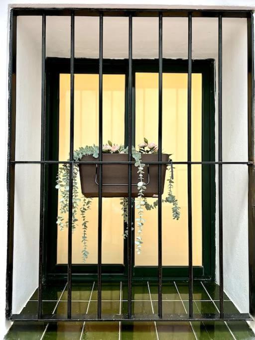 Apartmán Auxiliadora Luxury Sevilla Exteriér fotografie
